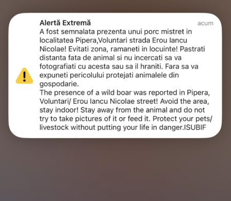 Mesaj Ro-alert „porc mistreț semnalat” în Pipera, lângă București - poza 1