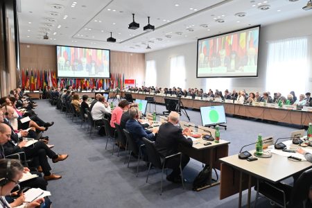 Reuniune OSCE: 43 de state participante au prezentat declaraţii de sprijin şi solidaritate cu România - poza 1