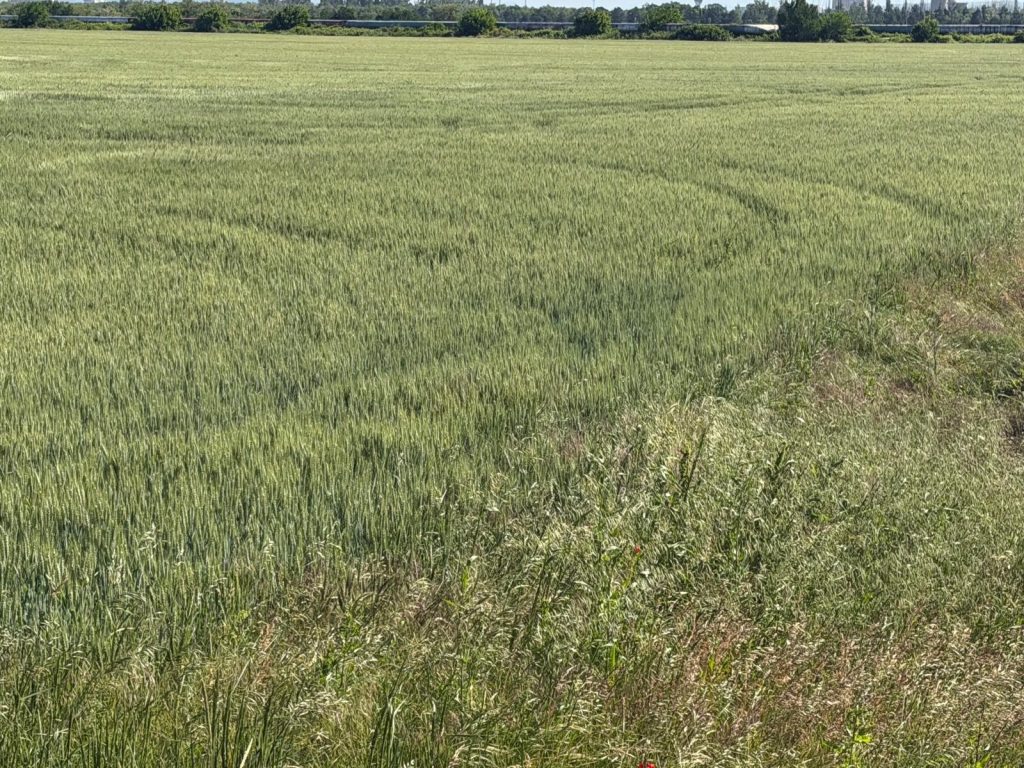 Fonduri &icirc;n valoare de 265 de milioane de euro pentru investiții &icirc;n energie regenerabilă &icirc;n agricultură și industria alimentară
 - poza 1