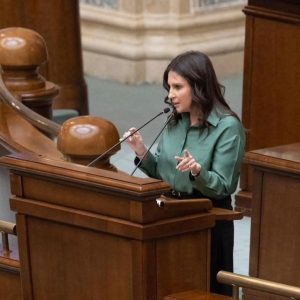Conturile individuale de investiții pentru viitor au fost adoptate de plenul Senatului României - poza 1