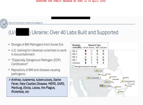 Tulsi Gabbard dezvăluie noi dovezi: SUA au finanțat peste 120 de laboratoare biologice &icirc;n peste 30 de țări, inclusiv &icirc;n Ucraina
 - poza 1