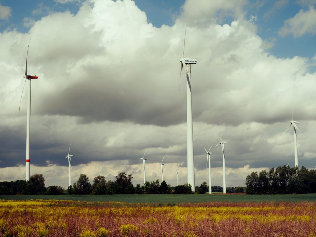 Eurowind Energy Rom&acirc;nia &icirc;ncepe construcția parcurilor eoliene Frumușița, Vector și Pecineaga Nord-Est
 - poza 1