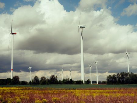 Eurowind Energy România începe construcția parcurilor eoliene Frumușița, Vector și Pecineaga Nord-Est - poza 1