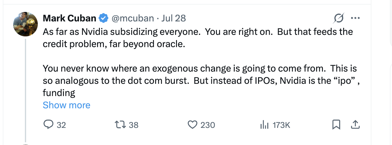 Michael Burry și Mark Cuban avertizează că boom-ul inteligenței artificiale depinde periculos de mult de Nvidia
 - poza 2