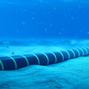 Transelectrica: Proiectul cablului submarin din Marea Neagră avansează - poza 1