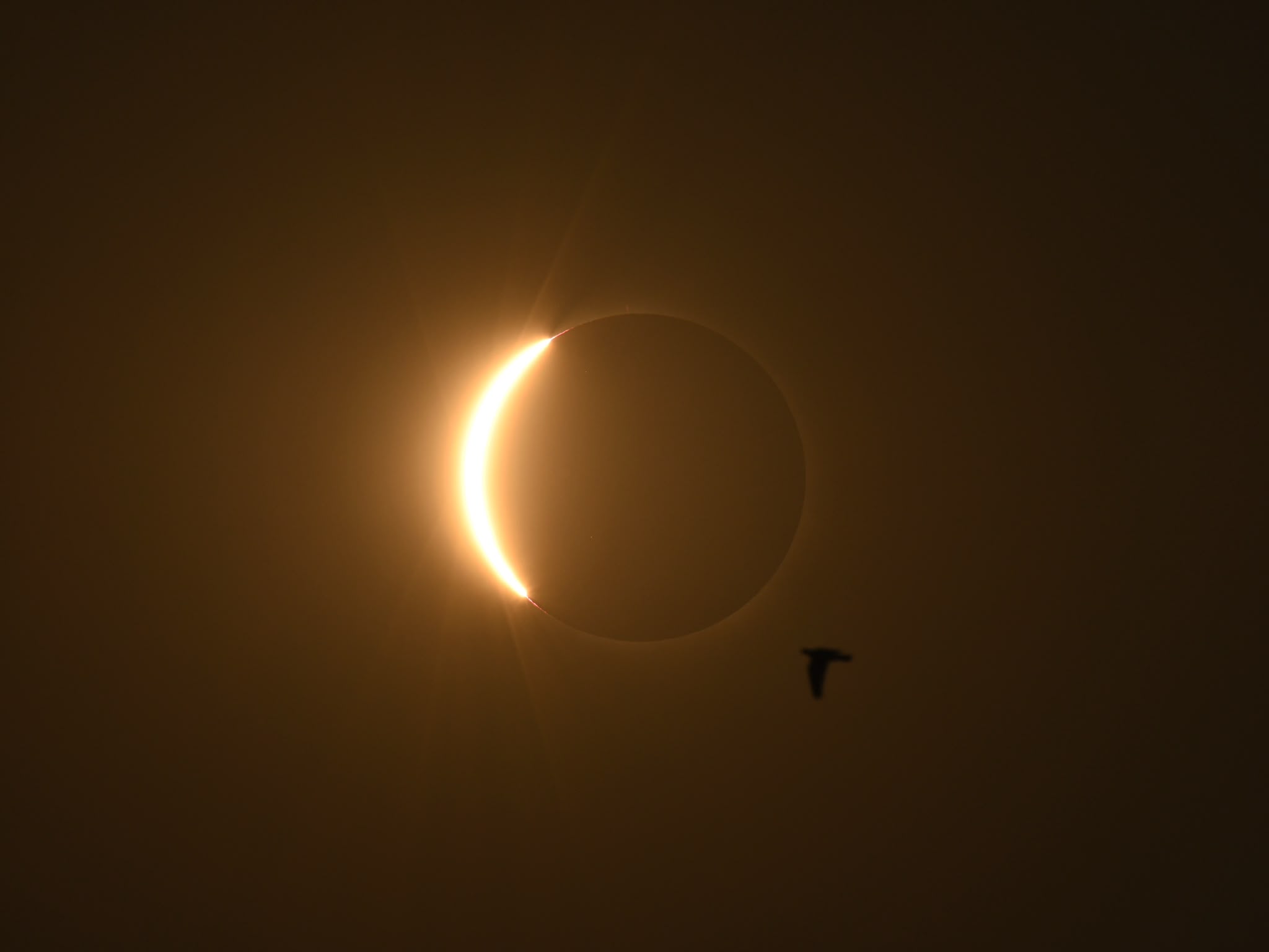 Eclipsa totală de Soare, surprinsă din mai multe regiuni ale Spaniei &ndash; imagini spectaculoase (VIDEO/FOTO)
 - poza 3