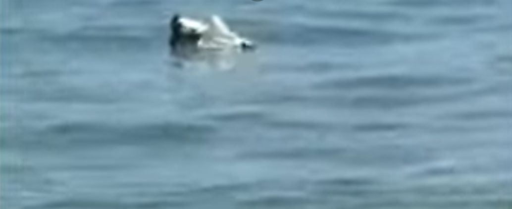 Obiect suspect descoperit în Marea Neagră, în zona Loft Mamaia. SRI a intervenit pentru ridicarea acestuia