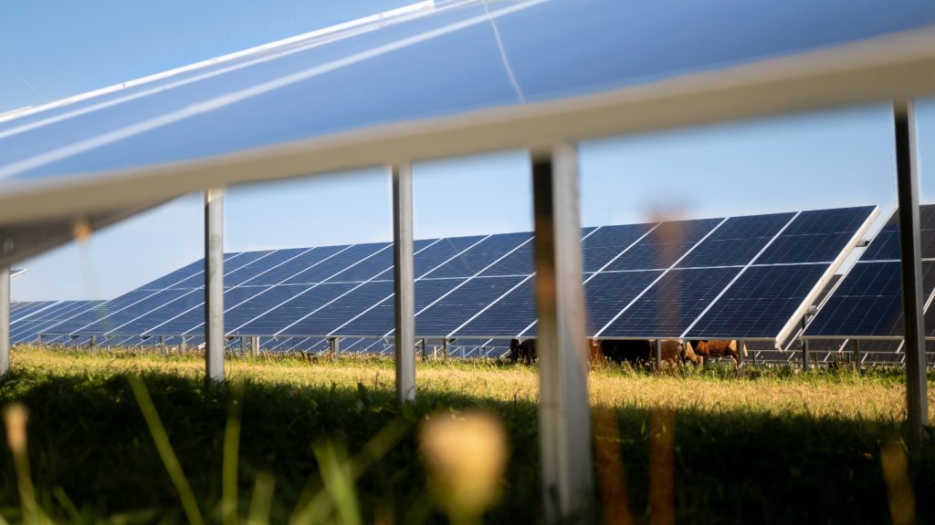 Enery și Orange Slovensko semnează un acord de achiziție de energie verde pe 10 ani, pentru a sprijini dezvoltarea energiei regenerabile &icirc;n Slovacia
 - poza 1