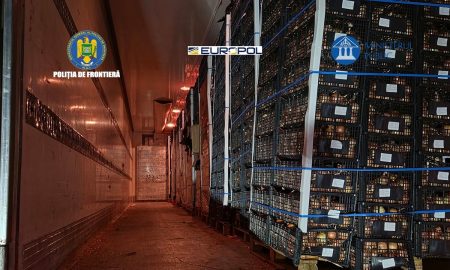 Parchet ICCJ: Peste 70 milioane țigarete contrafăcute, introduse în țară sub acoperirea transporturilor de legume și fructe; Prejudiciul total cauzat bugetului de stat  – 11.941. 826 euro - poza 1