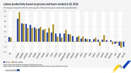 România, pe ultimele locuri în UE în ce privește evoluția productivității muncii - poza 1