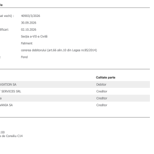 Banca Transilvania s-a alăturat, în calitate de creditor, dosarului în care AnimaWings și-a cerut insolvența - poza 1