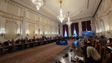Comisii – prima zi a audierilor miniştrilor Guvernului Niculescu s-a încheiat; 13 membri ai Cabinetului au primit aviz favorabil - poza 1