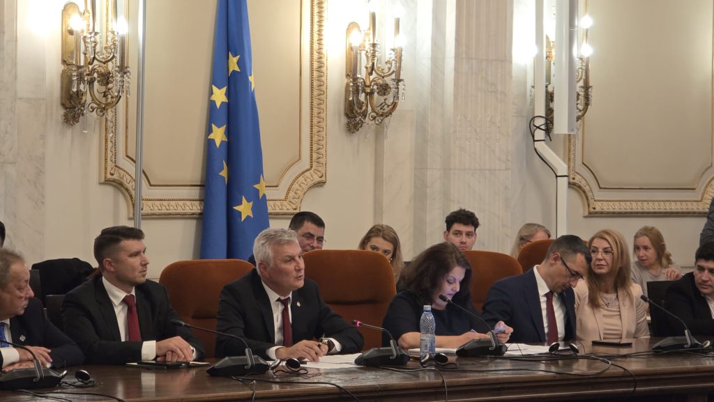 Parlament-audieri miniştri/ Zamfir: Poşta Rom&acirc;nă ar putea, printr-o eficientizare şi o altă conducere, să aducă mai mult profit statului rom&acirc;n
 - poza 1