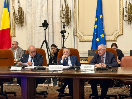 Daniel Fenechiu: Legea avocaturii va fi modificată fără completarea Codului civil; Traian Briciu, UNBR: Proiectul noii Legi a avocaturii nu îşi propune “să răpească” din competenţele aflate în aria altor profesionişti - poza 1