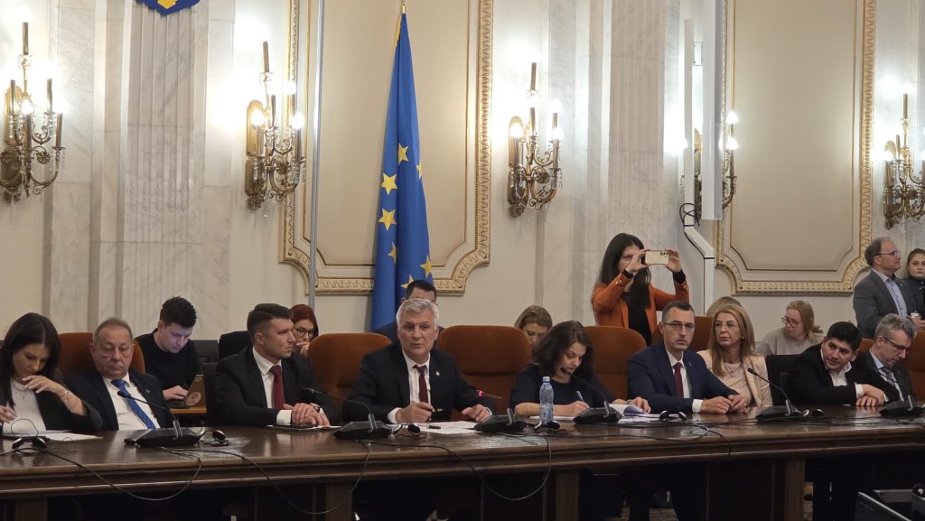 Parlament-audieri miniştri/ Zamfir: E foarte acută situaţia de la Dacia; &icirc;mpreună cu ministrul Energiei voi face o deplasare acolo
 - poza 1