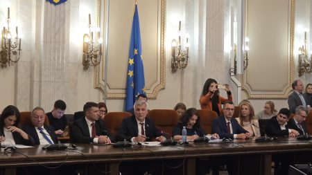 Parlament-audieri miniştri/ Zamfir: E foarte acută situaţia de la Dacia; împreună cu ministrul Energiei voi face o deplasare acolo - poza 1