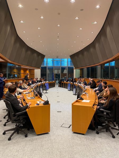 Securitatea la Marea Neagră și a Flancului Estic aduce la aceeași masă experții rom&acirc;ni de la Bruxelles și industria rom&acirc;nească de apărare
 - poza 1