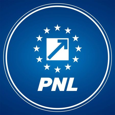 PNL decide sâmbătă, prin vot online, poziția privind învestirea Guvernului Luca Niculescu - poza 1