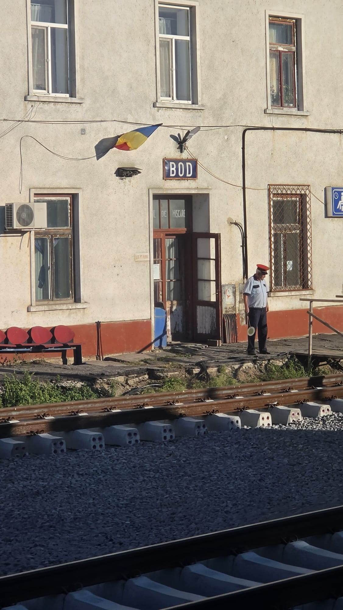 &bdquo;Să se consemneze, ca &icirc;n Caragiale&rdquo;: AnimaWings, un zbor anulat și doi bivoli pe calea ferată
 - poza 2